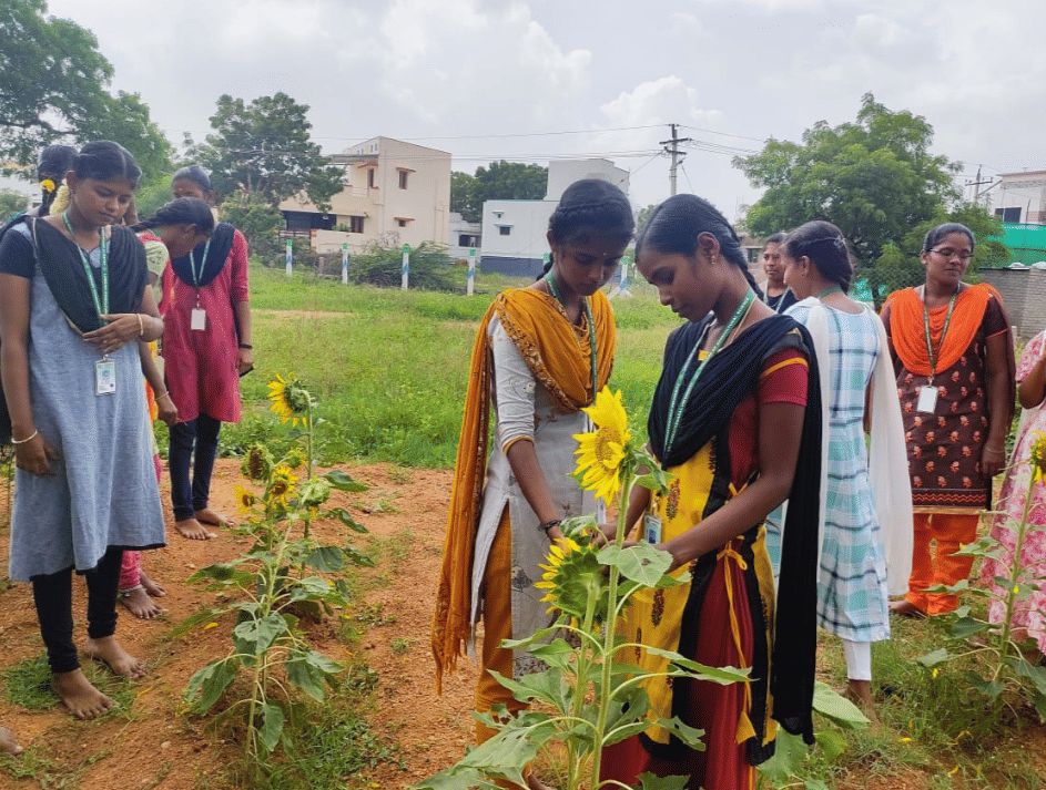 Sri Venkateswaraa University Ettayapuram Agricultural campus photo 1